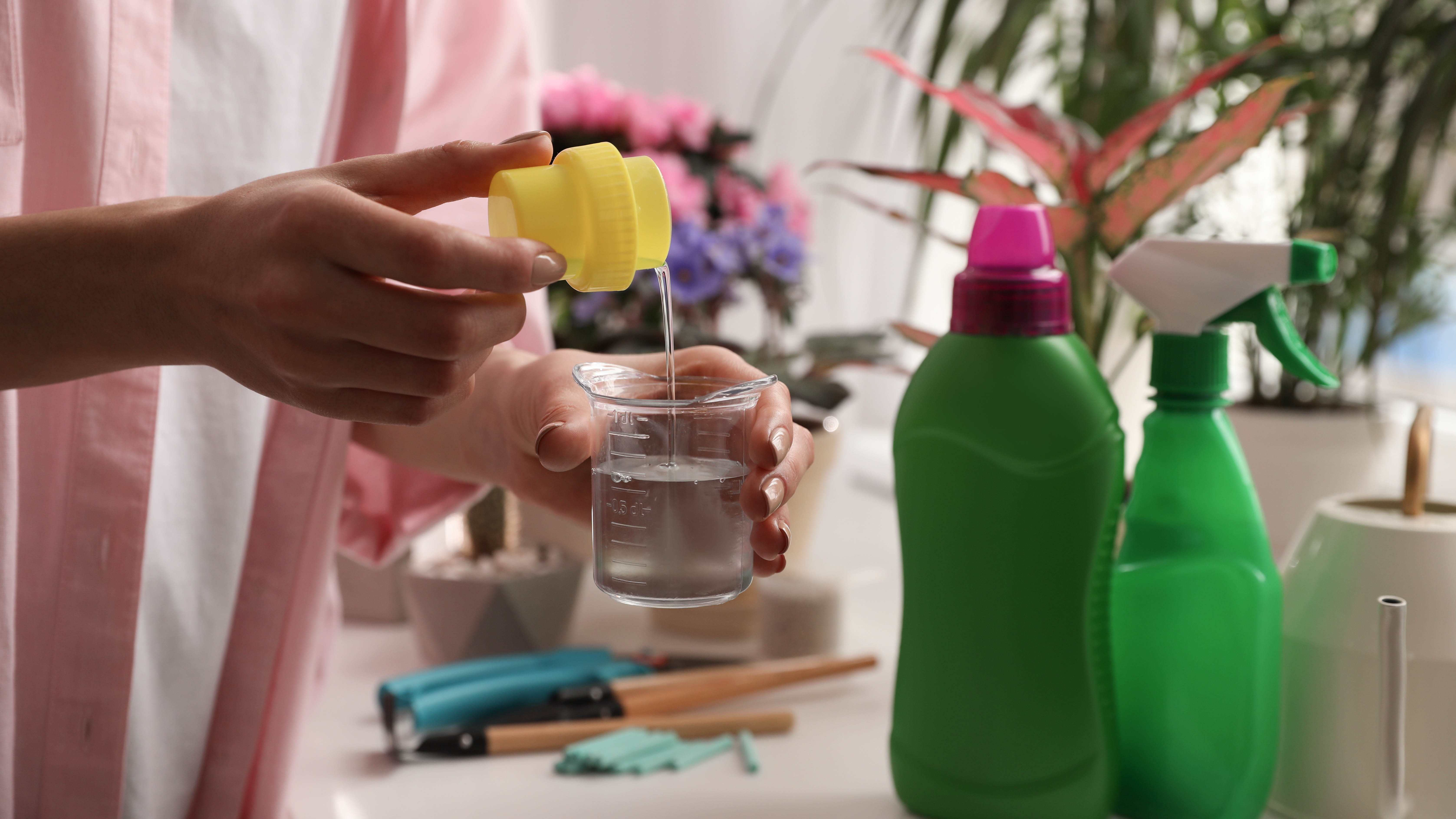 Verser des aliments liquides à fleurs dans le récipient