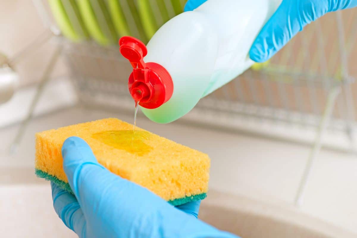 Ne jetez plus vos vieilles éponges, elles pourraient vous être utiles dans le jardin image-20293