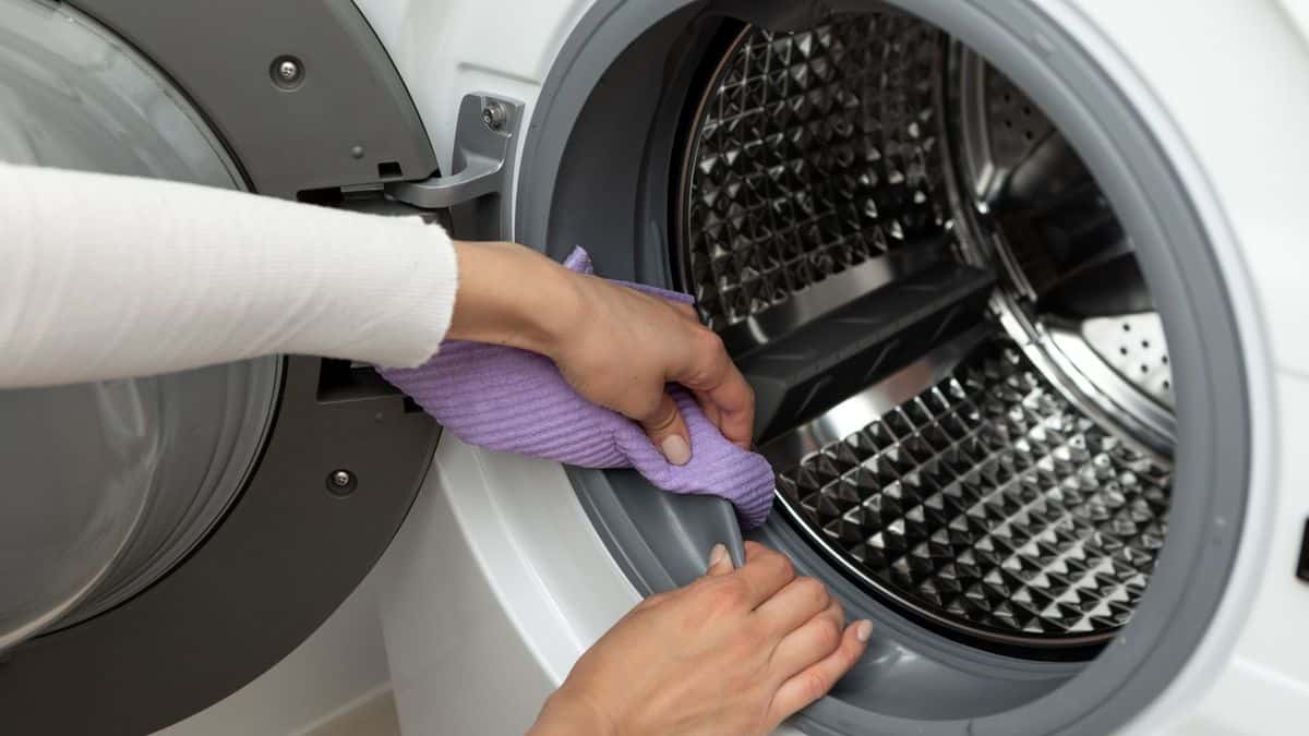 Des moisissures tenaces dans le joint de votre lave-linge ? Voici comment vous en débarrasser définitivement image-25157