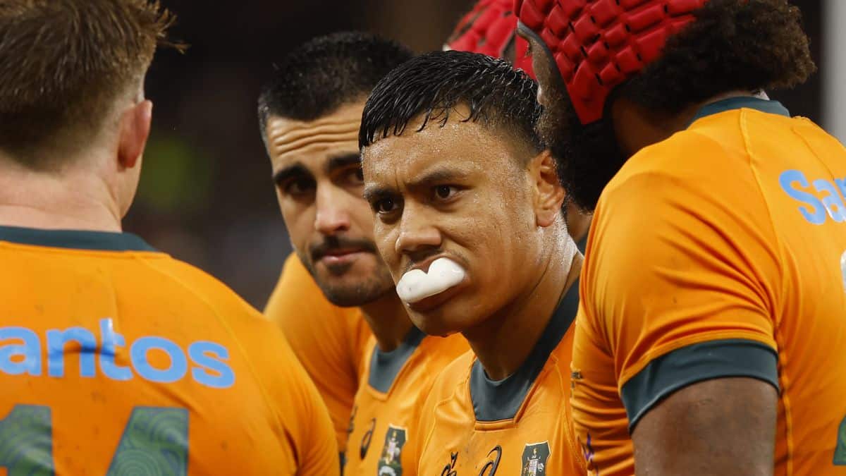 Diffusion en direct Australie vs Nouvelle-Zélande 2024 : comment regarder le match du championnat de rugby en ligne, les rivalités de Bledisloe renouvelées image-25366