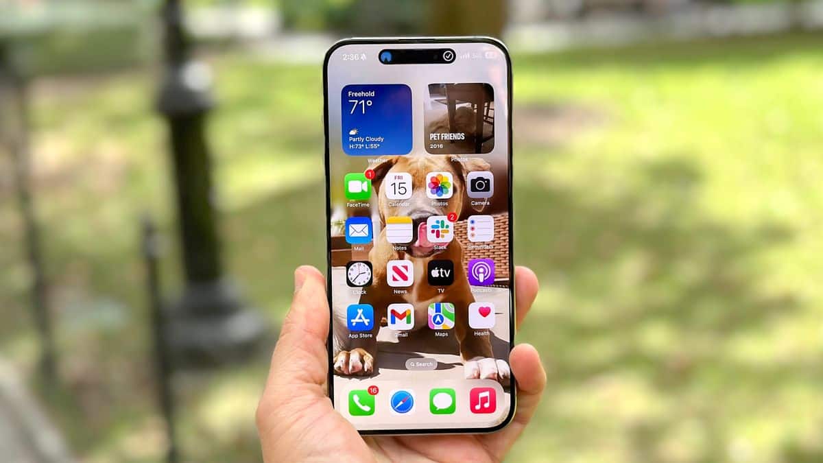 Lancement de l'iPhone 16 — Apple vient d'arrêter la production de ces iPhones image-25136