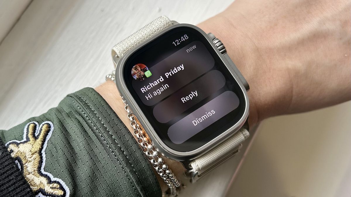 Vous pouvez utiliser WhatsApp sur Apple Watch – voici comment le configurer image-25655