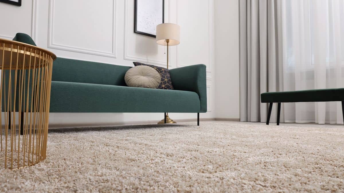 5 conseils d'experts pour garder vos tapis comme neufs image-25918