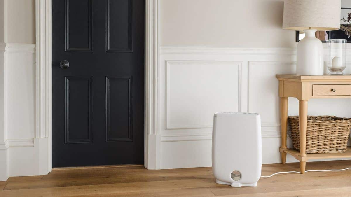 5 façons de sécher une pièce sans déshumidificateur et de réduire l'humidité image-26011