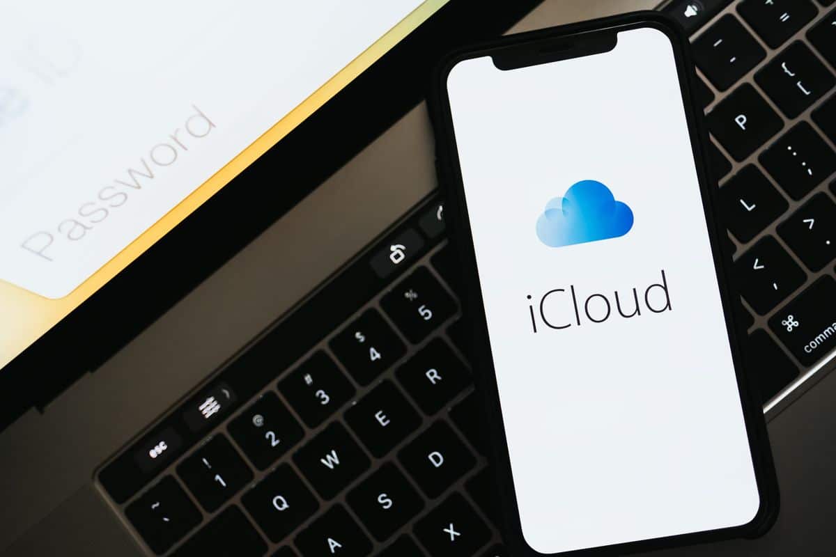 Comment conserver les fichiers iCloud Drive téléchargés sur votre Mac image-26209