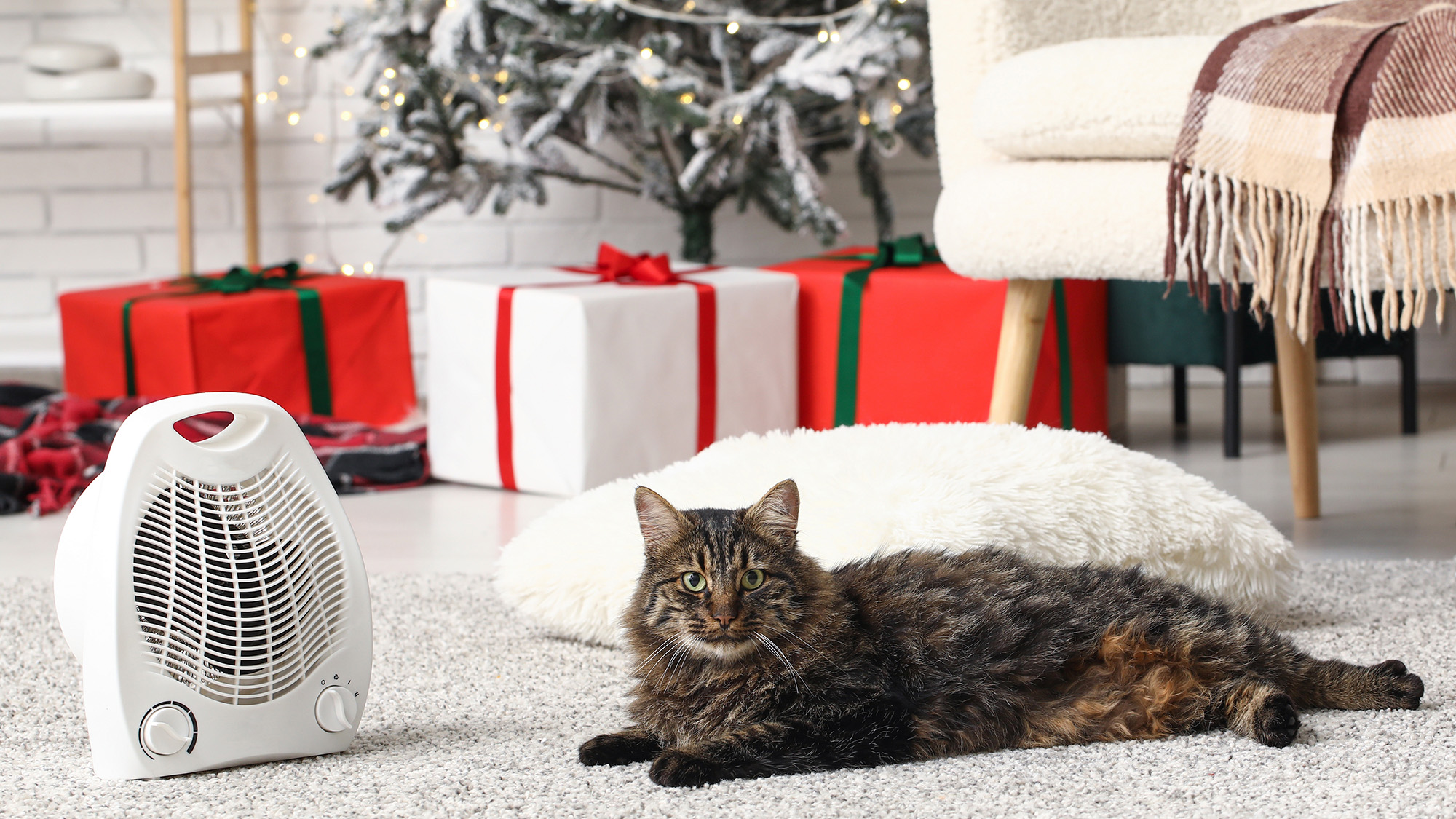 chat allongé sur un tapis près d'un radiateur soufflant électrique à la maison