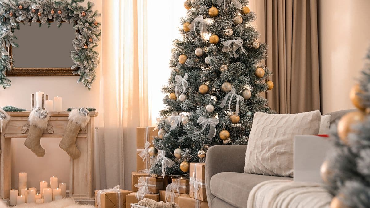 5 endroits où vous ne devriez jamais mettre un sapin de Noël image-26930