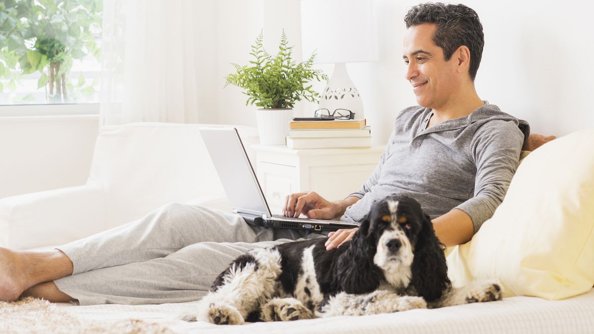 Comment travailler confortablement lorsque vous rentrez chez vous pour les vacances image-27308