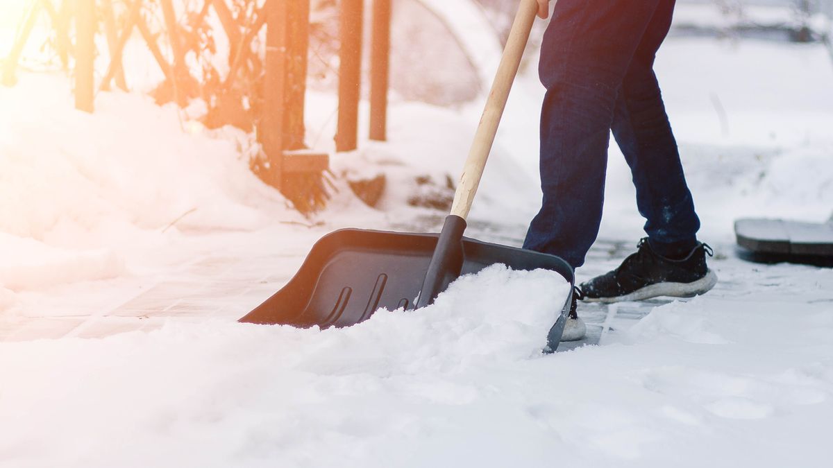 9 astuces astucieuses pour déneiger — sans souffleuse à neige image-27420