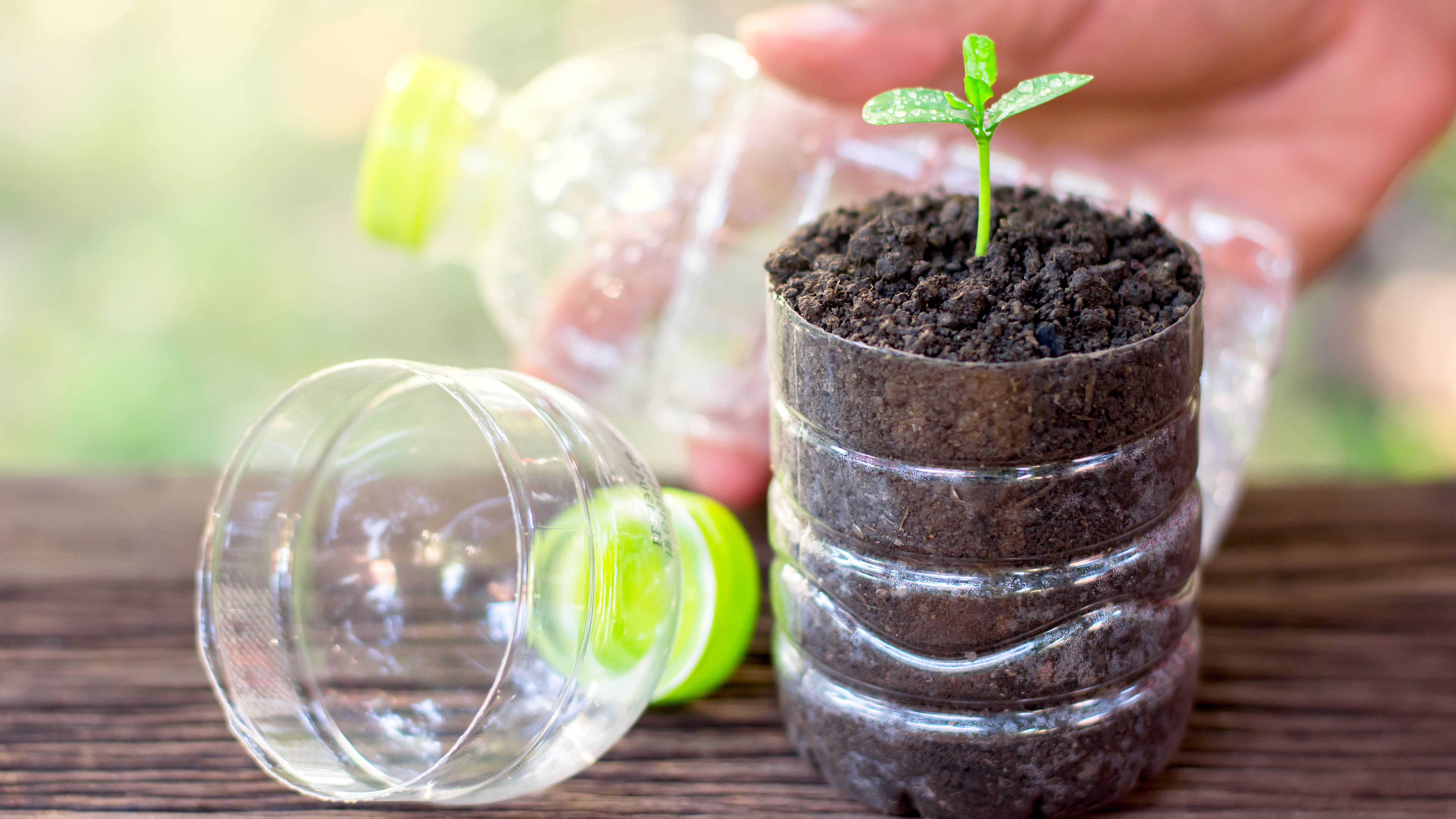 Planter des plants dans une bouteille en plastique