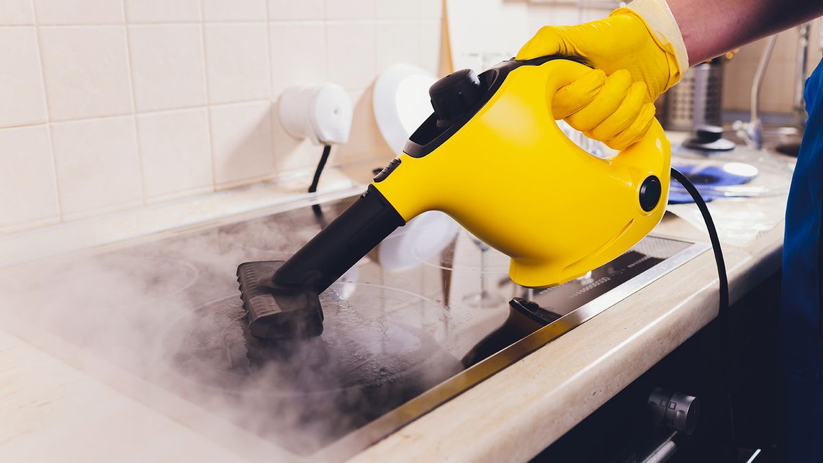 Les nettoyeurs professionnels partagent les 5 choses que vous ne devriez jamais nettoyer à la vapeur image-27761