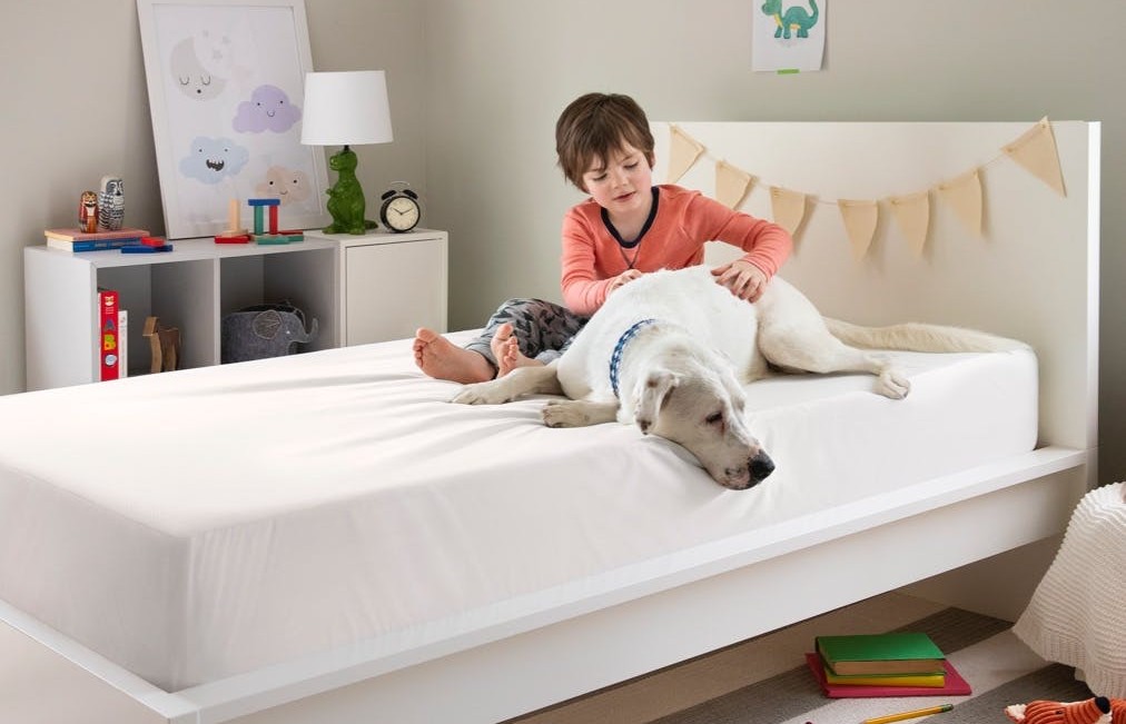 Garçon et son chien assis sur un lit