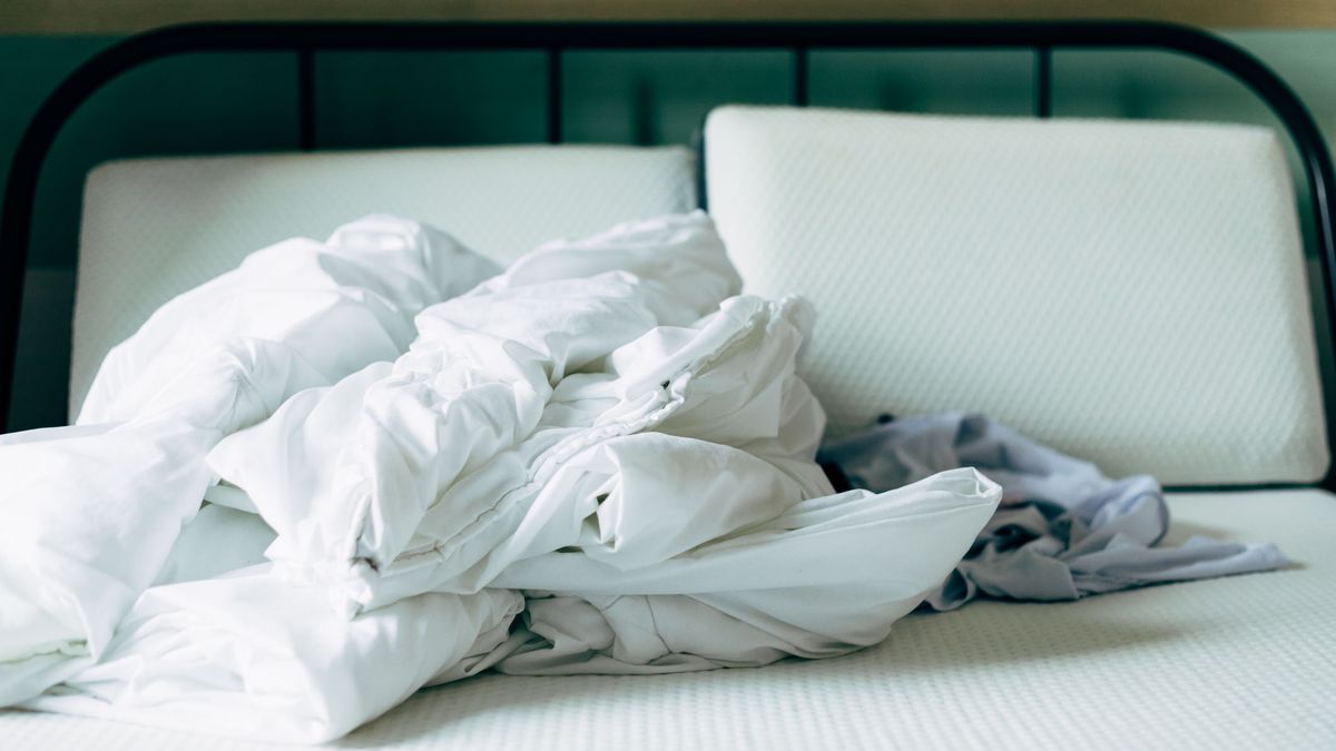 Comment se débarrasser des acariens de votre matelas, de vos oreillers et de votre literie image-27706