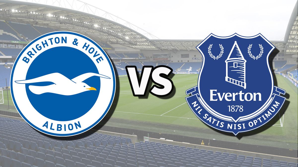 Diffusion en direct de Brighton contre Everton : comment regarder le match de Premier League en ligne image-27737
