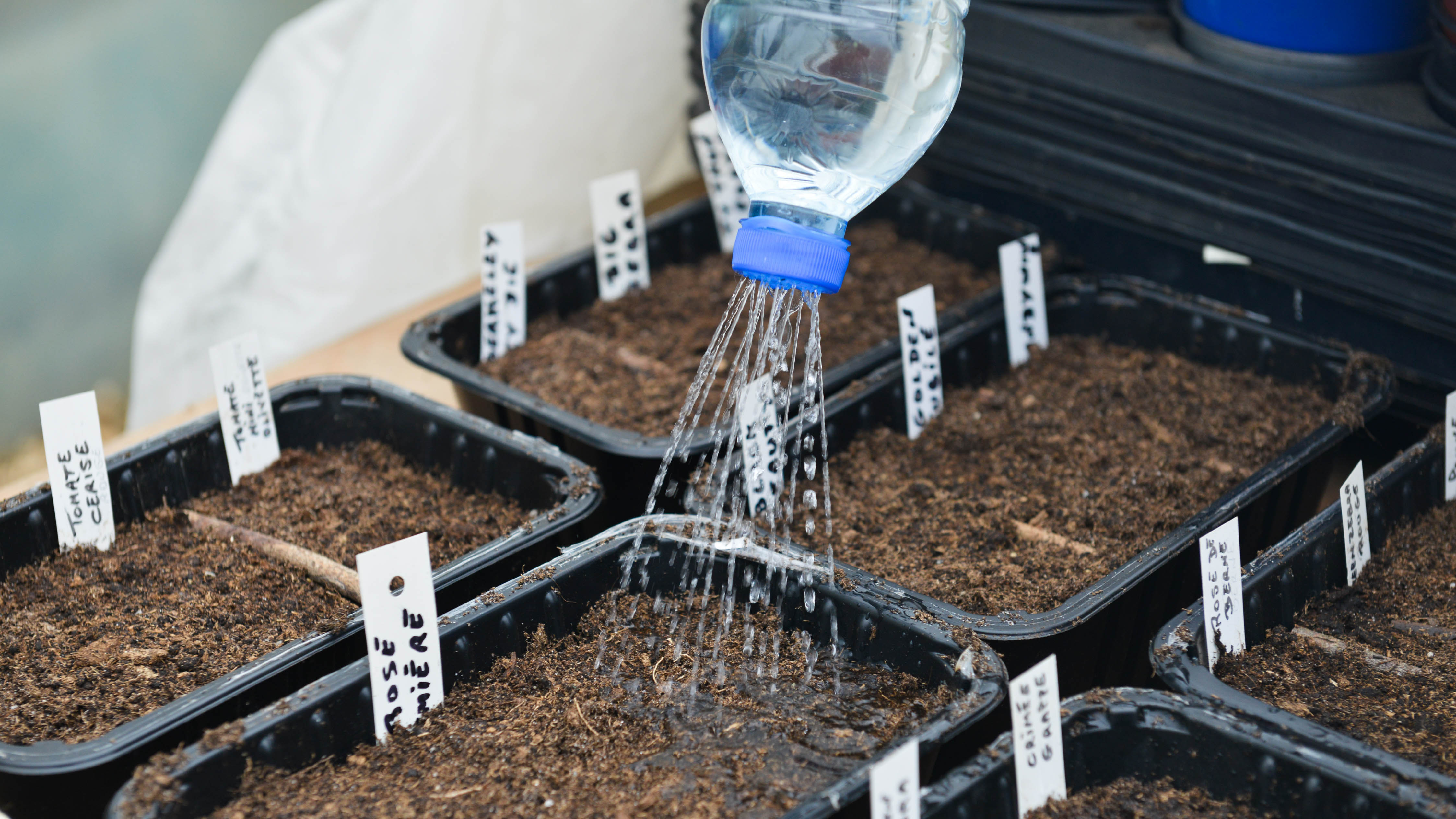 Bouteille en plastique utilisée pour arroser le sol