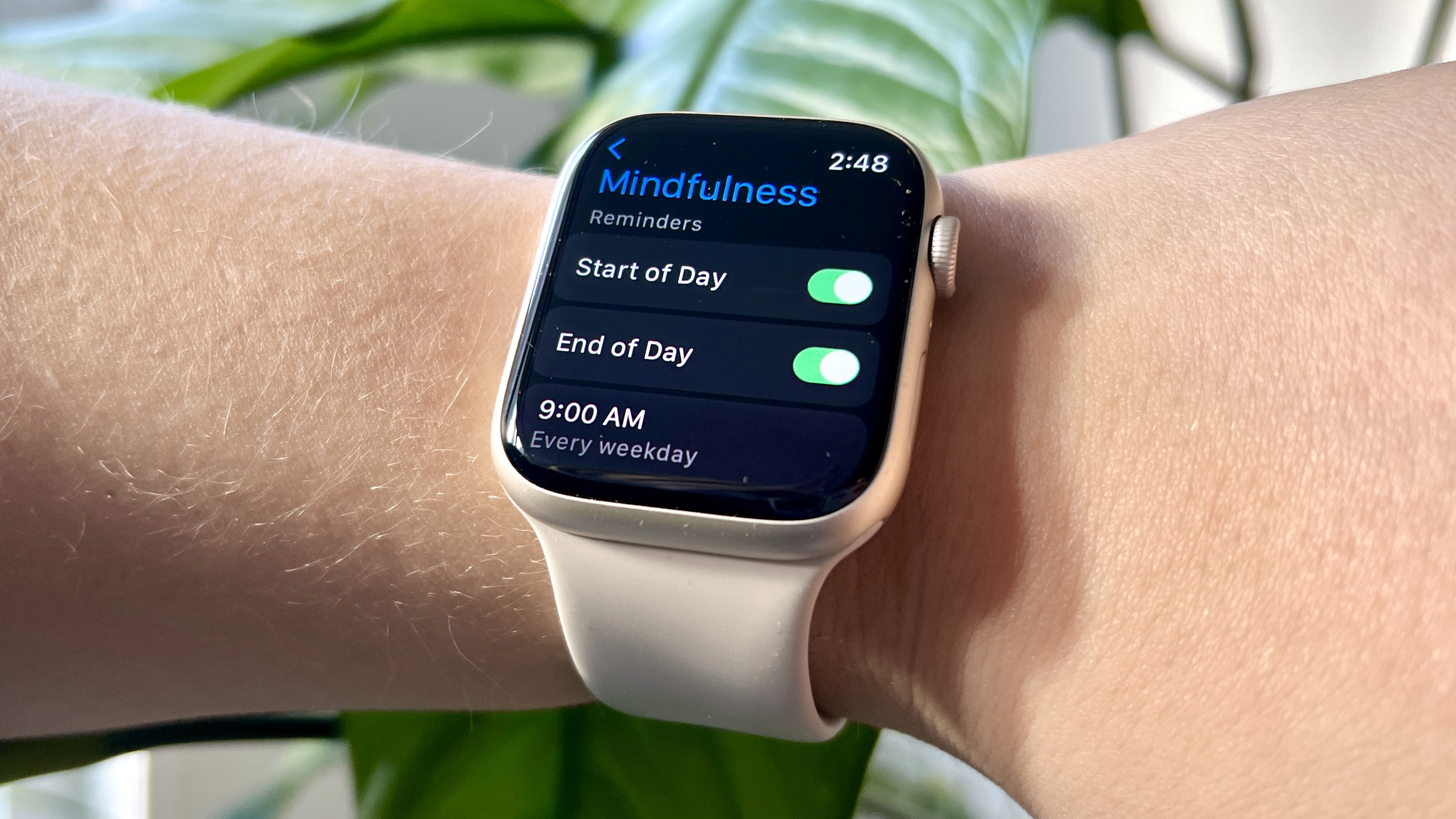 Apple Watch Mindfulness App
