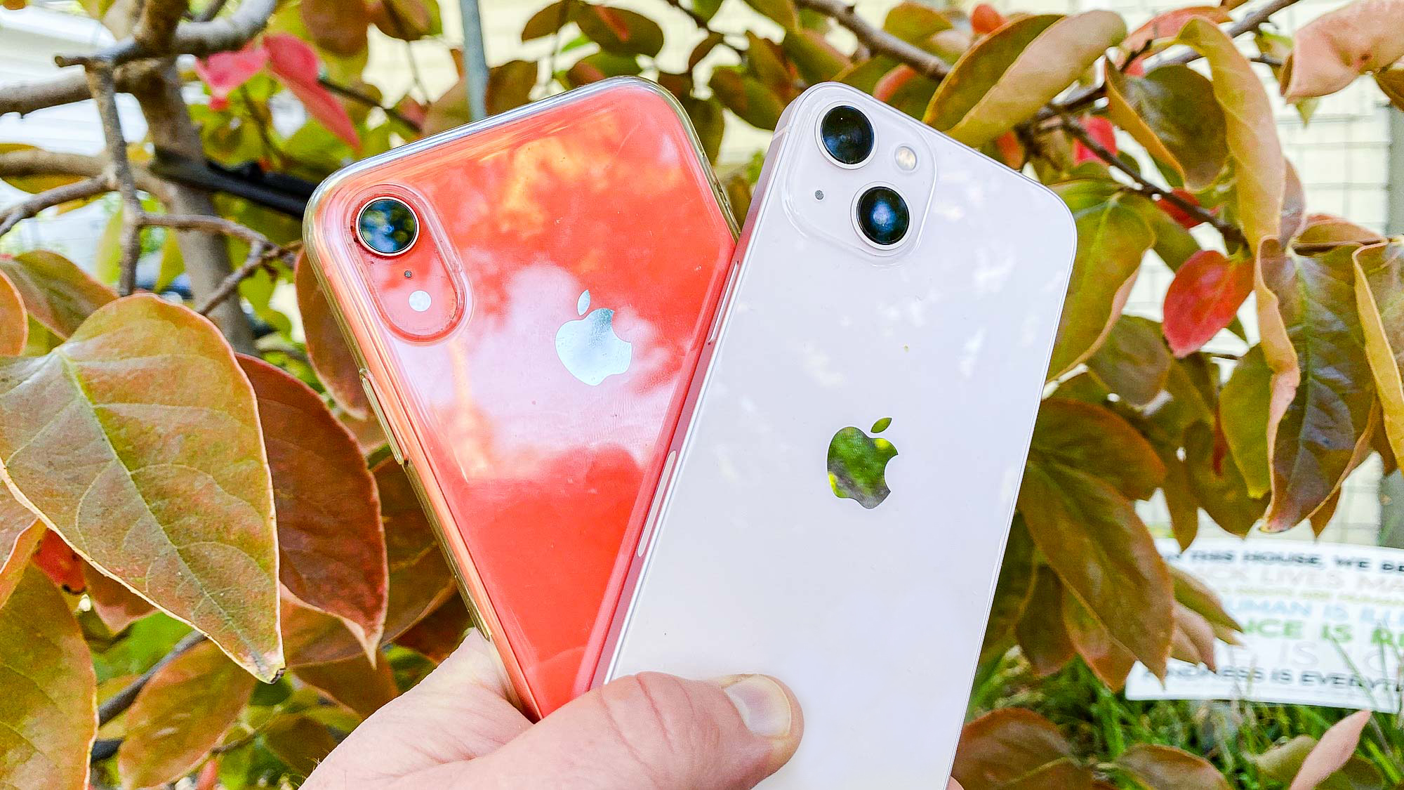 iPhone 13 vs comparaison de l'appareil photo iPhone XR