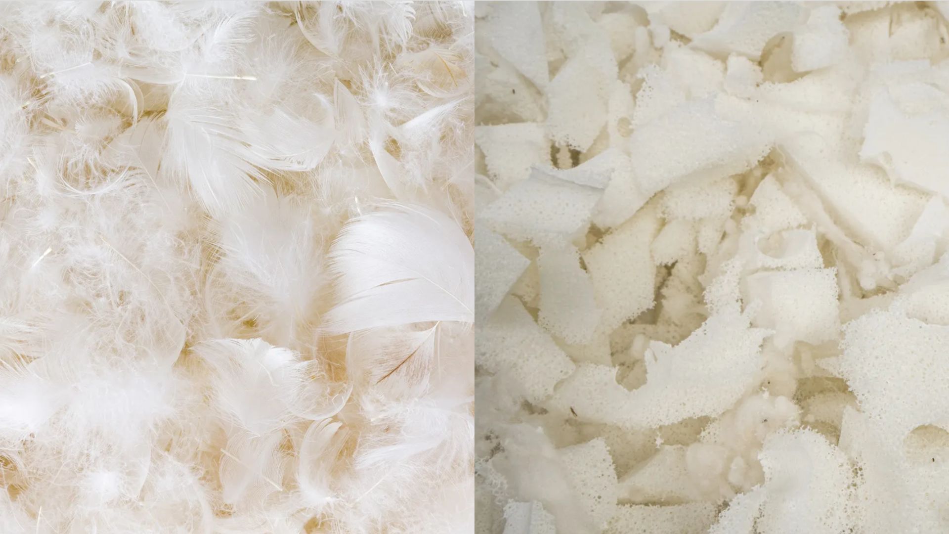 Une photo en gros plan de plumes blanches à côté de la photo de la mousse de latex