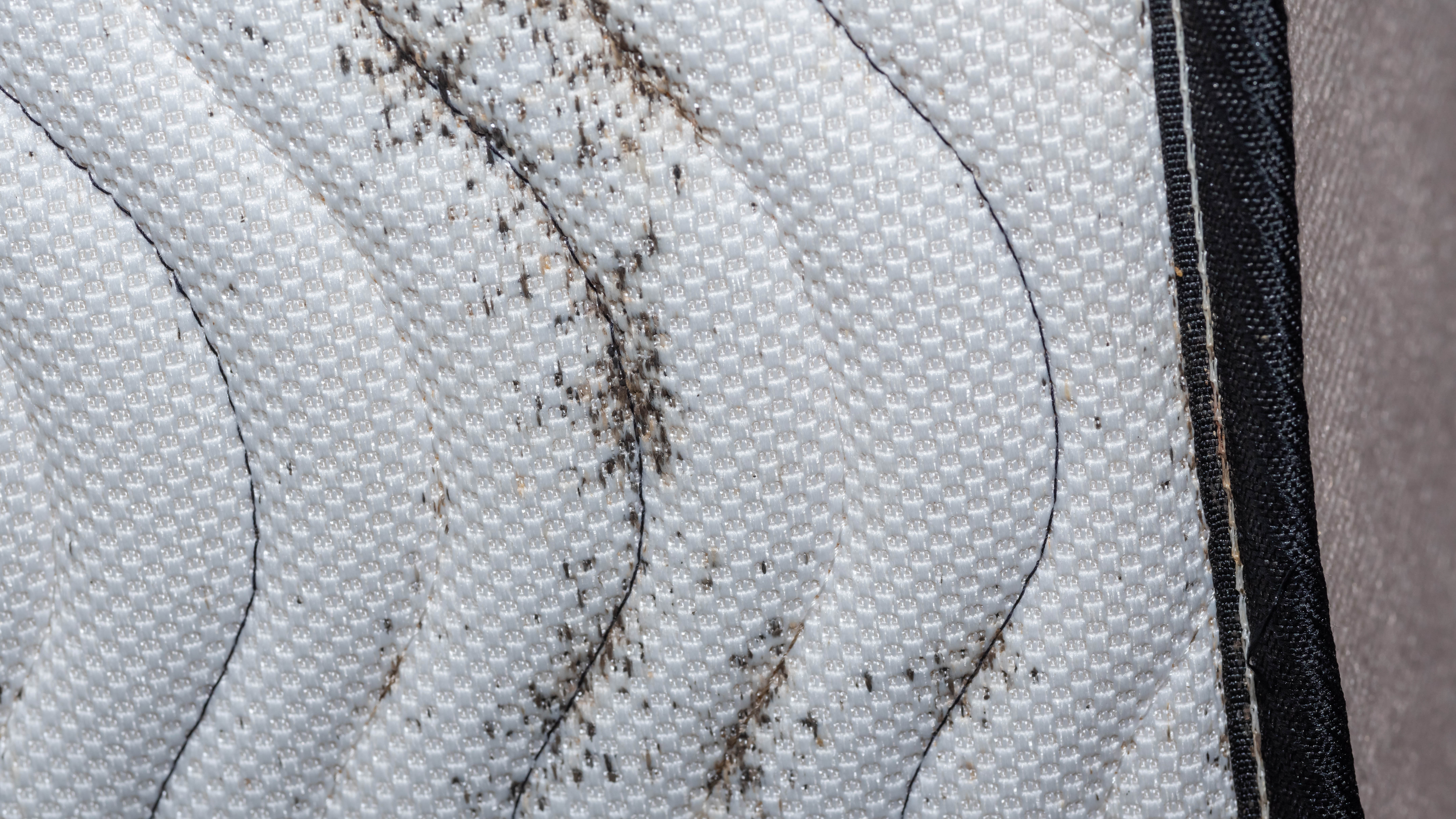 Excréments de punaises de lit sur un matelas