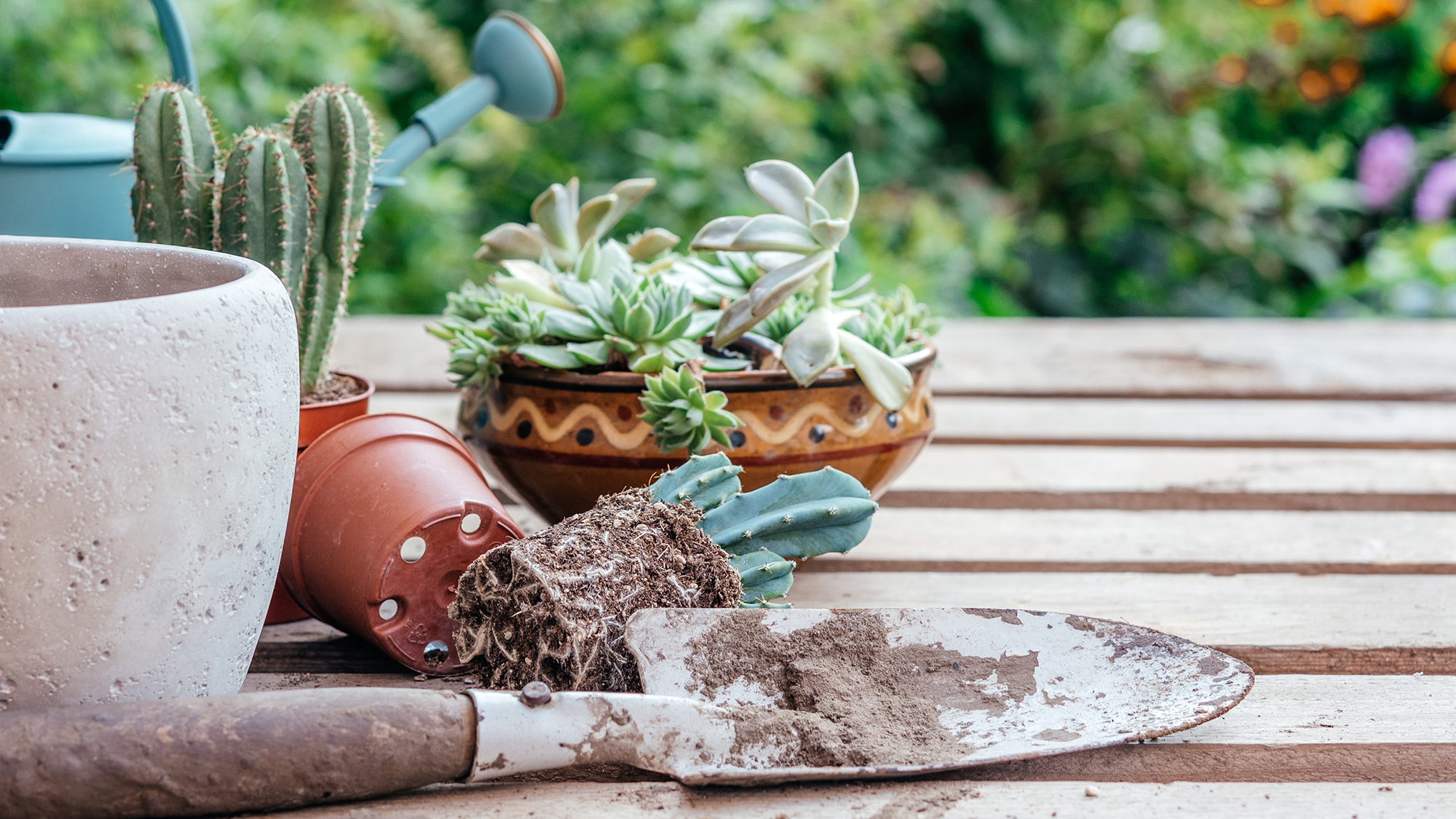 Truelle de jardin sur table avec des plantes