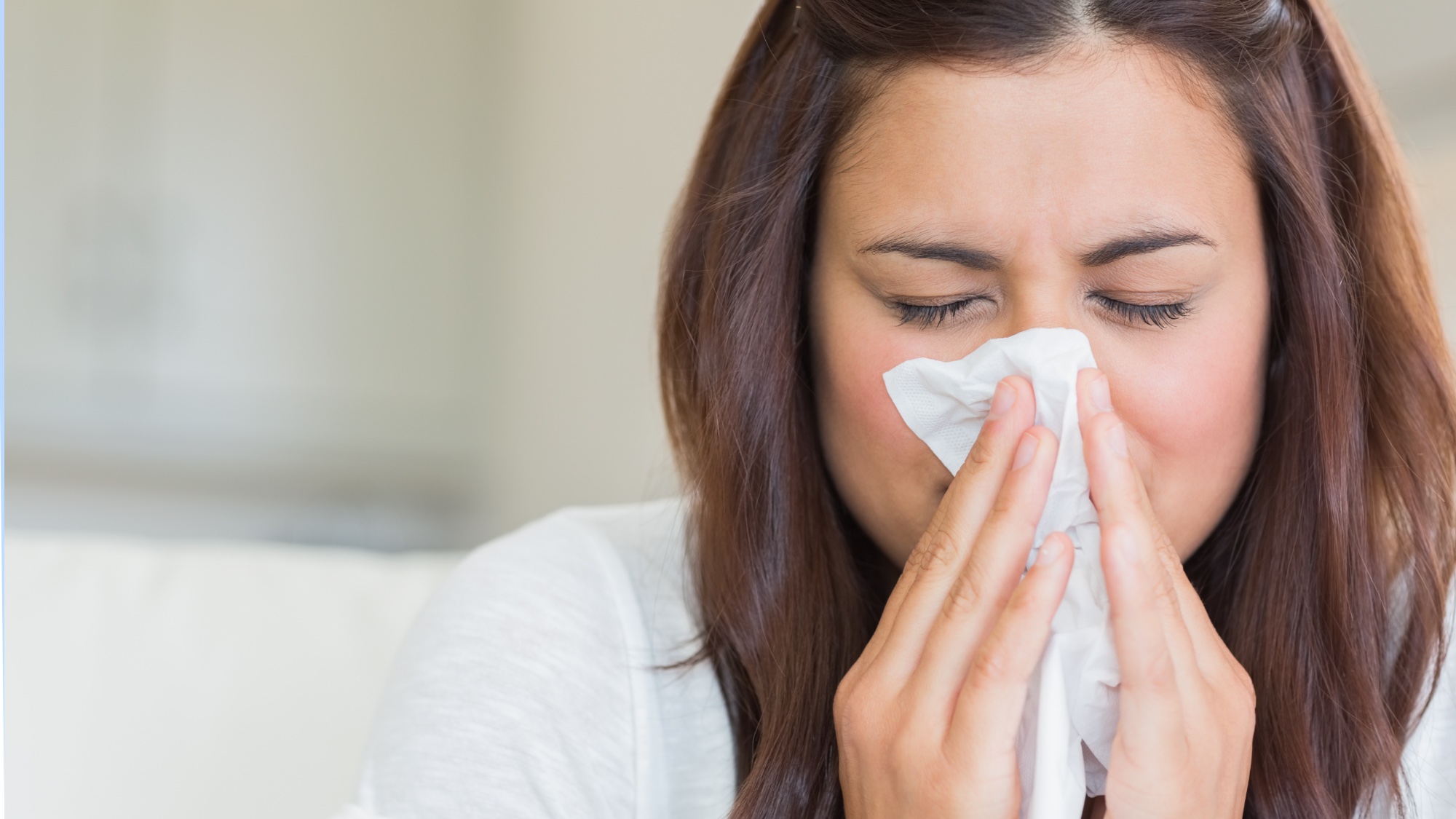 7 conseils approuvés par des experts pour garder vos fenêtres propres pendant la saison du pollen image-29342
