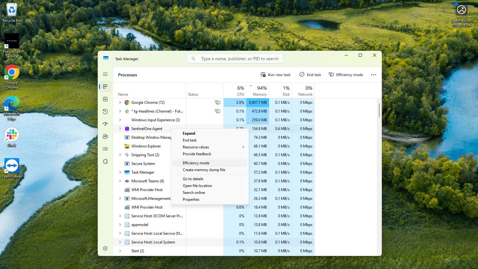 Capture d'écran de la fenêtre Windows 11 Task Manager Affichage du mode d'efficacité Option