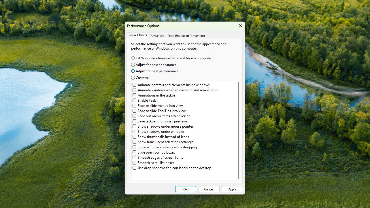 Capture d'écran de Windows 11 montrant les options de performance du panneau de configuration