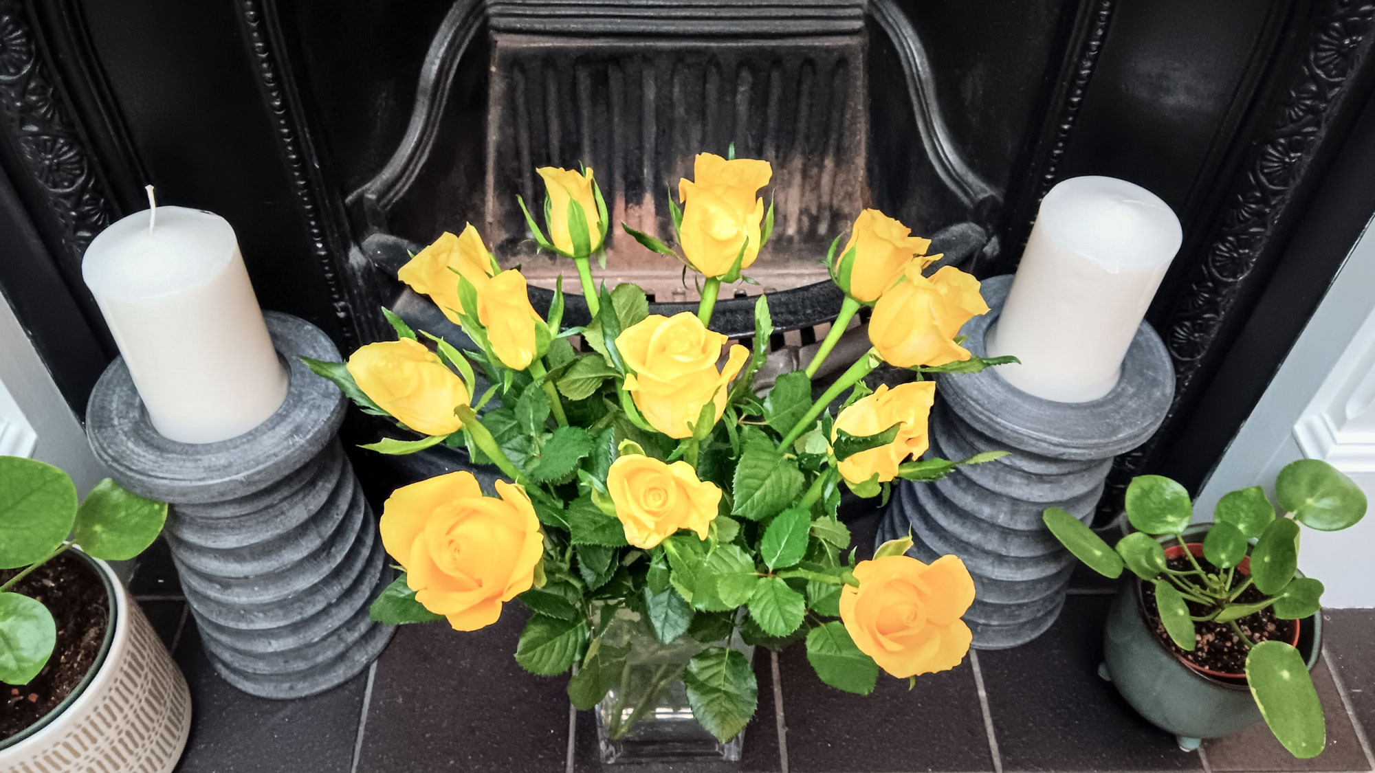 Fleurs disposées à l'aide du piratage de ruban adhésif