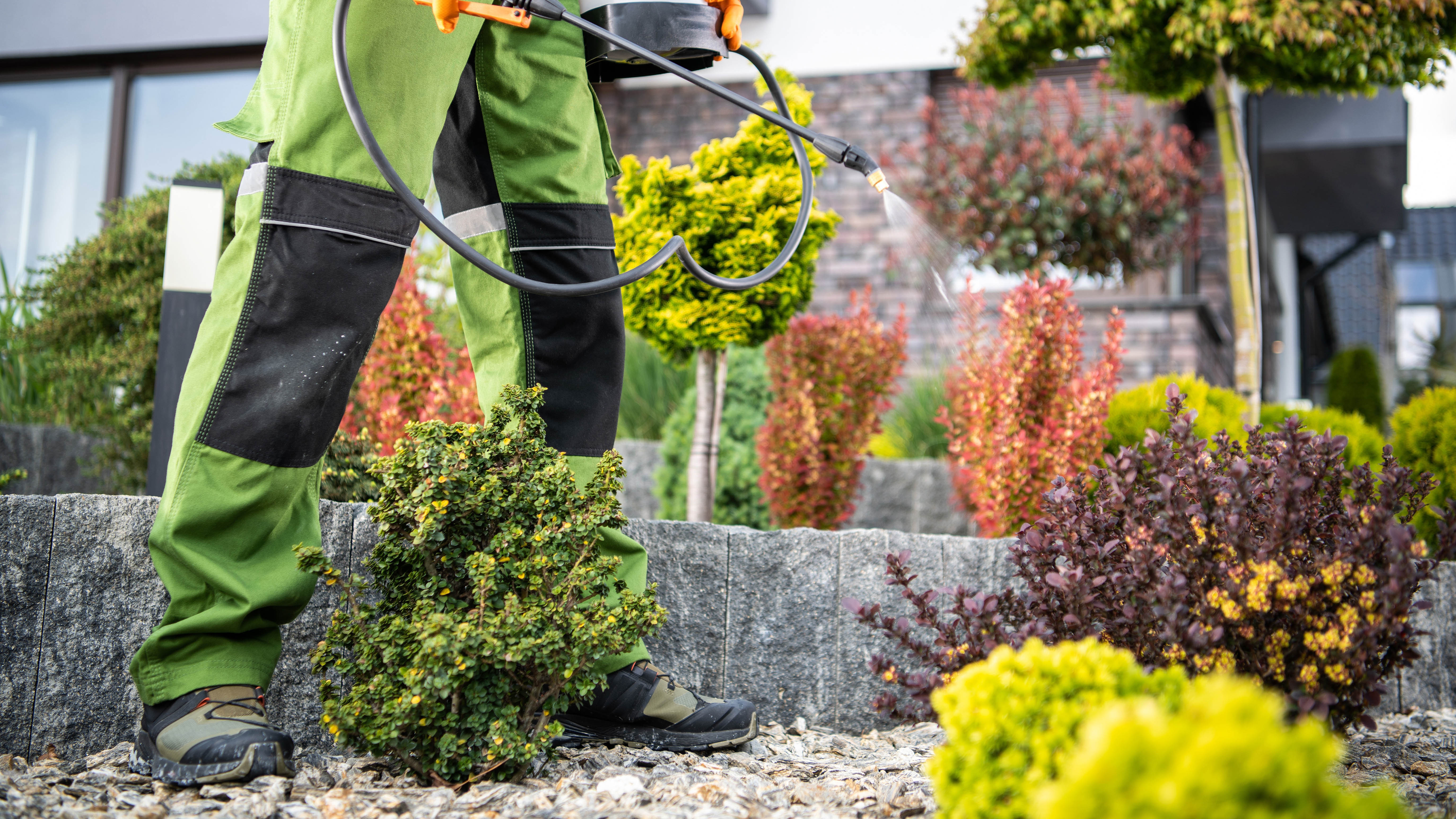 Quelqu'un pulvérisant des pesticides sur les plantes du jardin