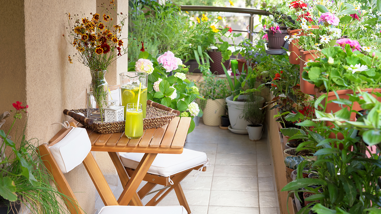Un jardin de balcon avec beaucoup de plantes
