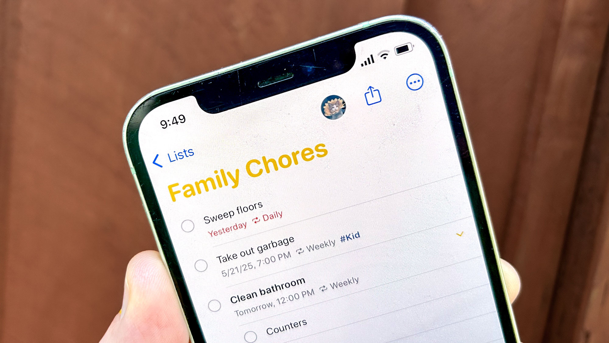 La gestion des tâches se transformait en une querelle familiale jusqu'à ce que j'utilise des rappels sur l'iPhone pour régler les choses image-29641
