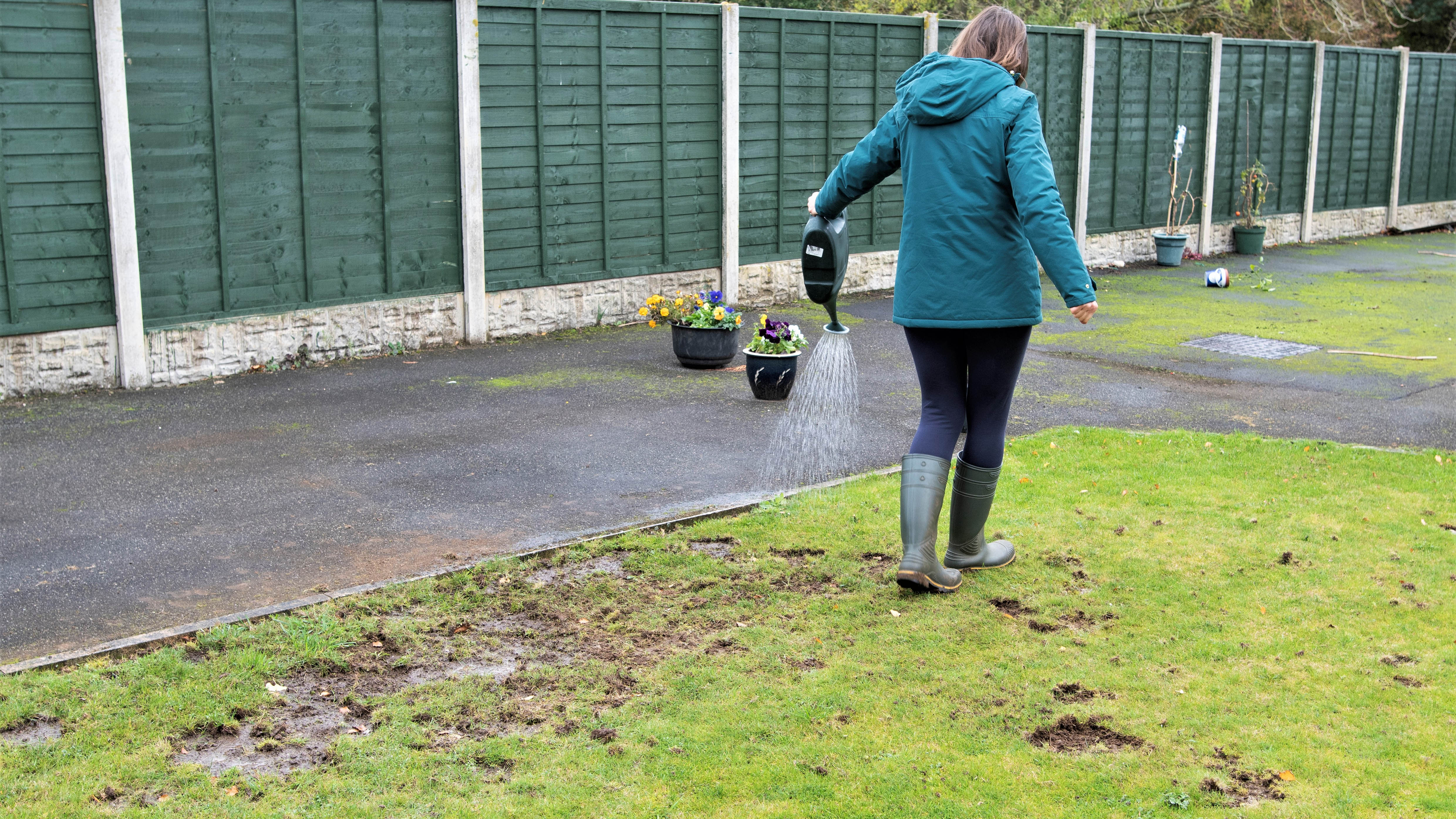 Femme arrosant la pelouse avec can