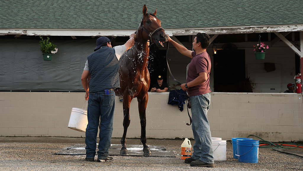 Comment regarder le Kentucky Derby 2025: Stream en direct des courses de chevaux d'aujourd'hui en ligne de n'importe où image-29379