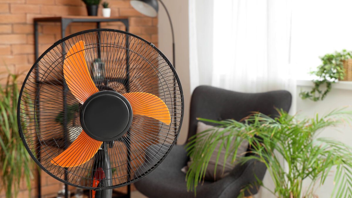 Comment nettoyer en profondeur tout type de ventilateur – des modèles oscillants aux fans de table image-29962
