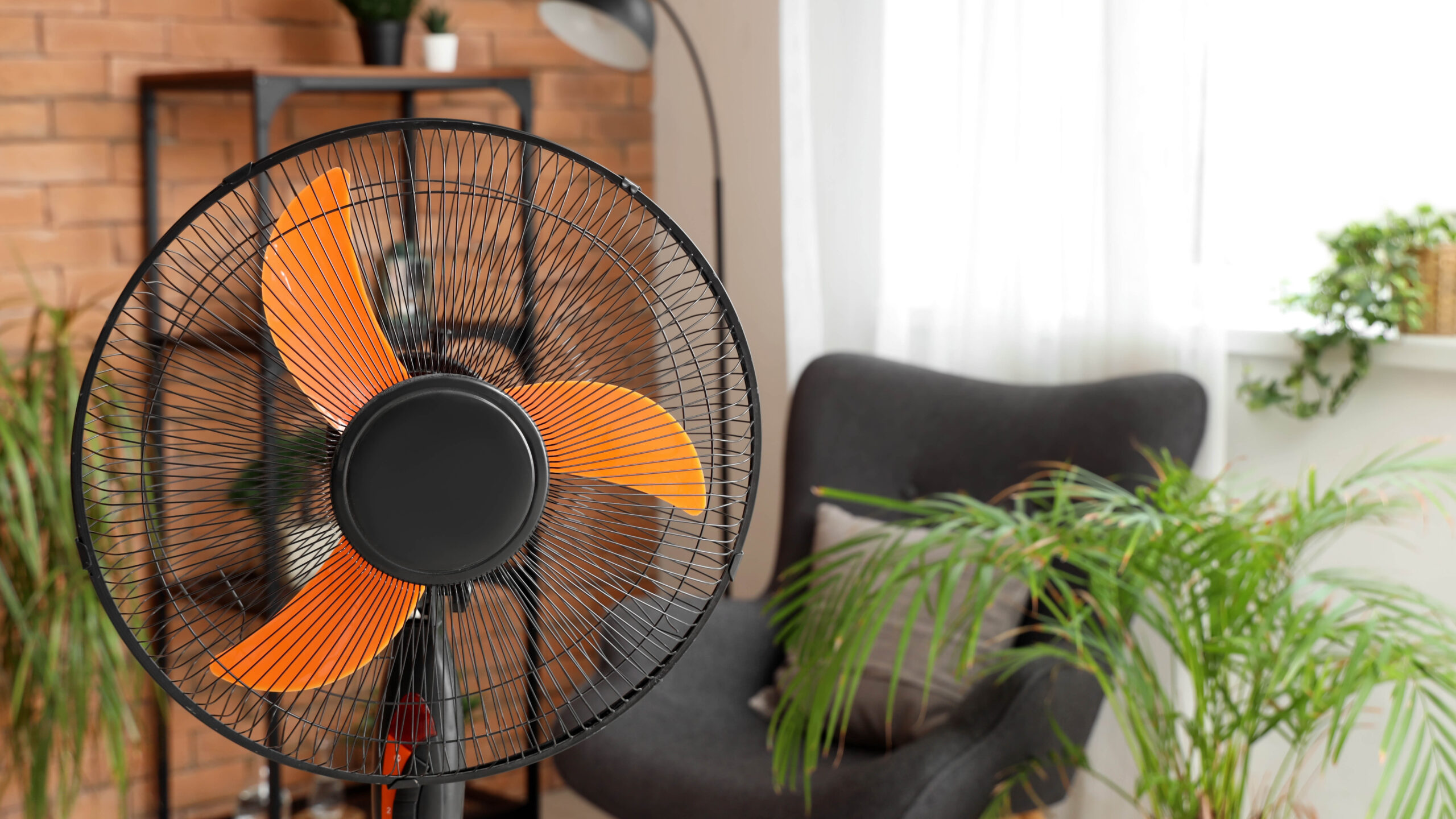 Comment nettoyer en profondeur tout type de ventilateur – des modèles oscillants aux fans de table image-29962