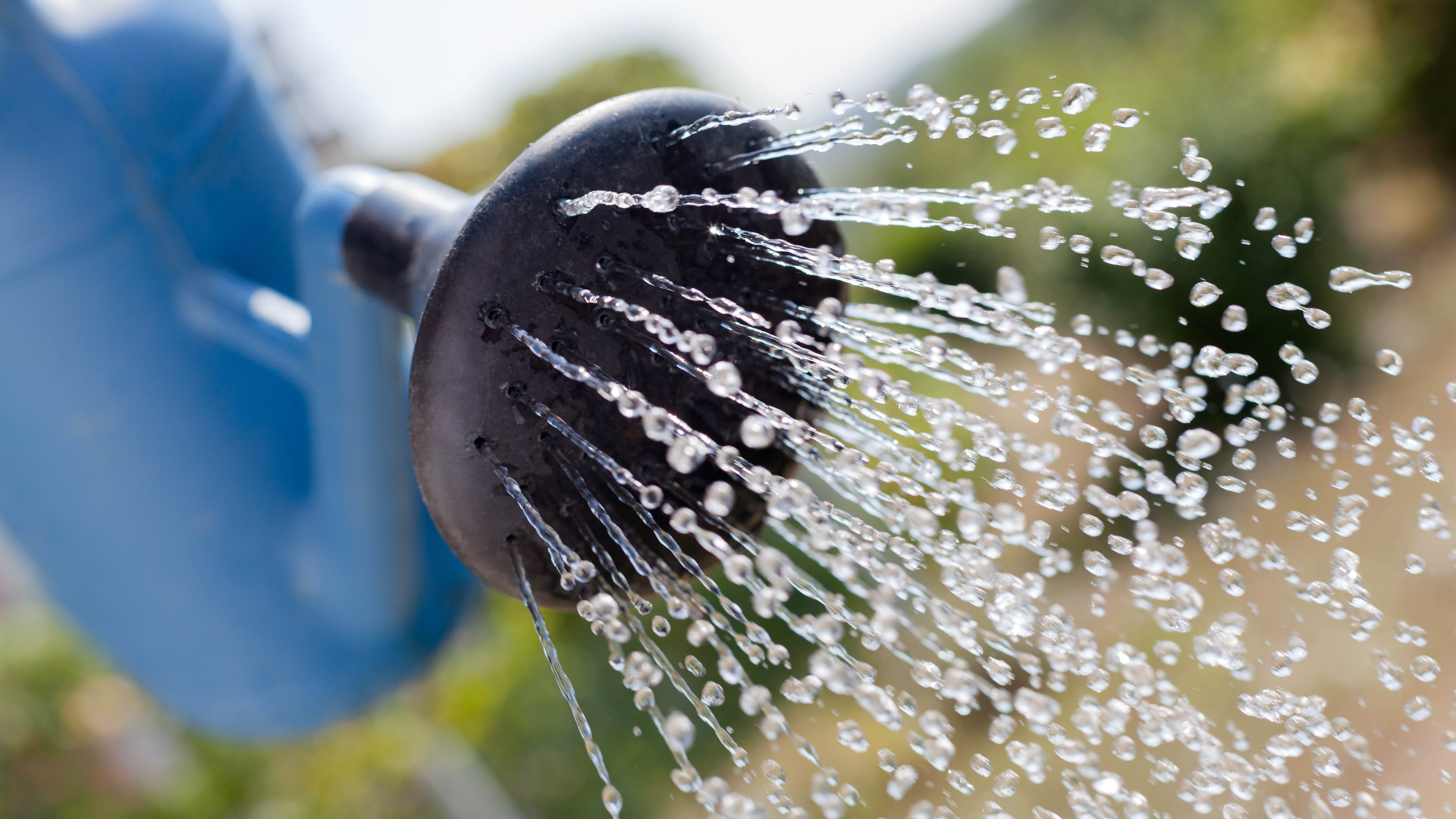 Un arrosage peut basculer l'eau