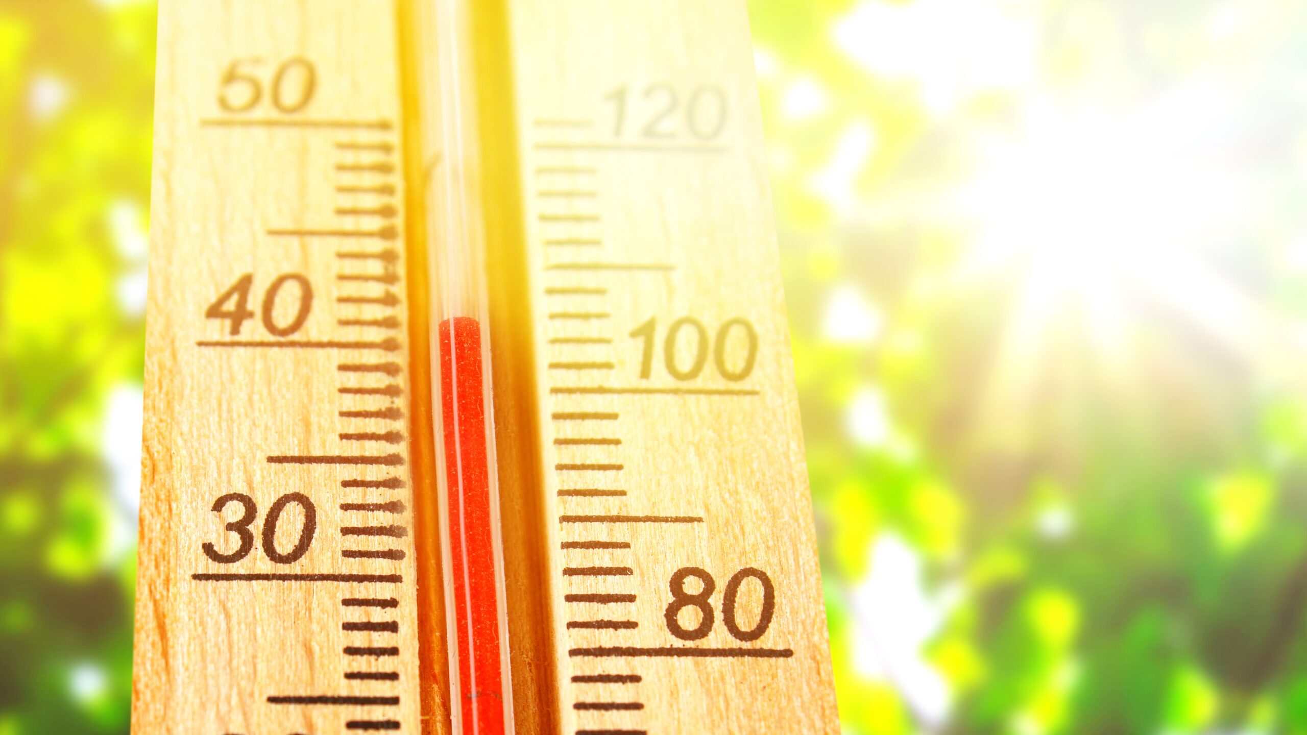 Les experts recommandent la technique de la «salle de bricolage» pendant une vague de chaleur – voici comment faire image-30822