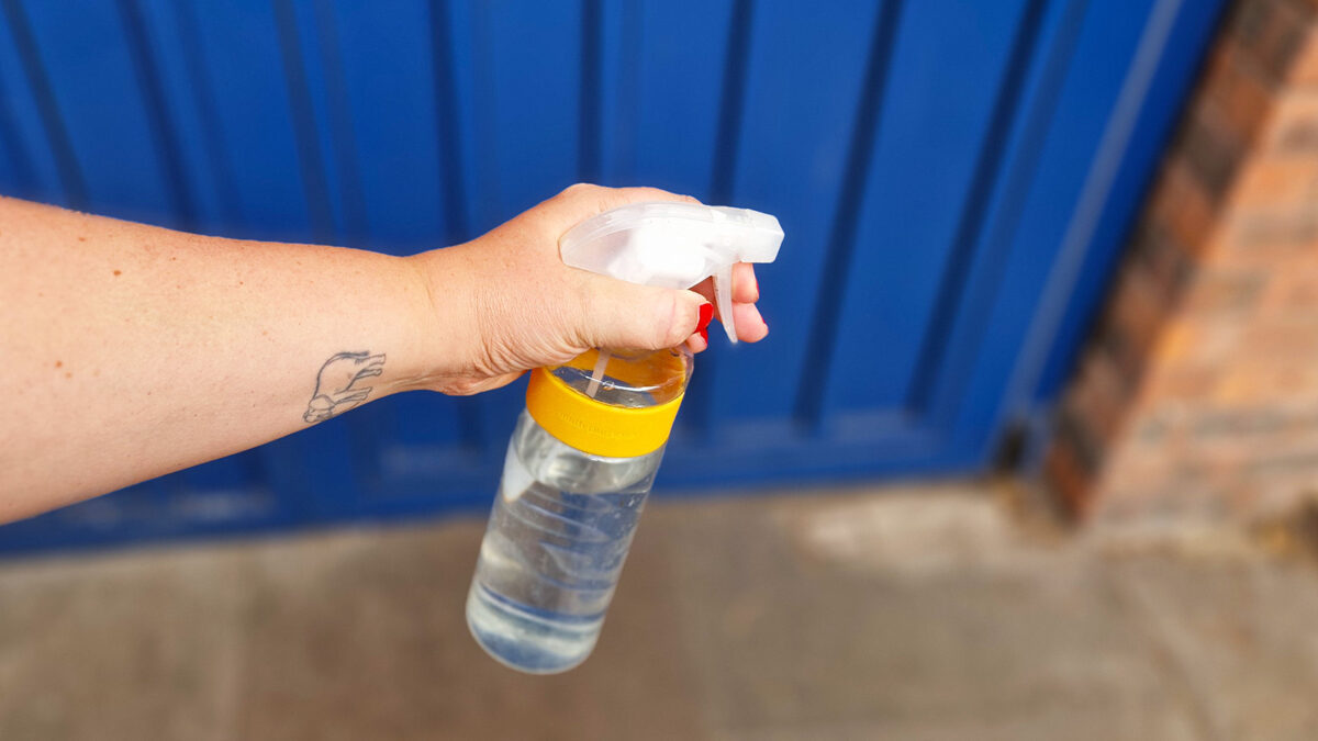 Les experts disent que vous devriez pulvériser du vinaigre à l'extérieur de votre porte d'entrée cet été – voici pourquoi image-30588