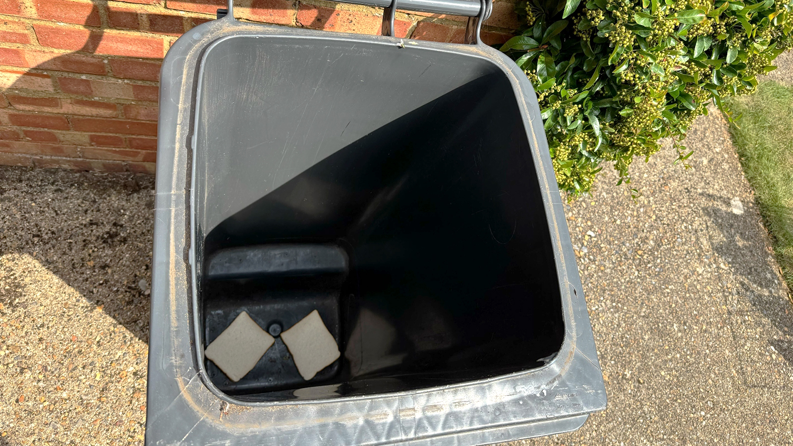 Pain dans une poubelle