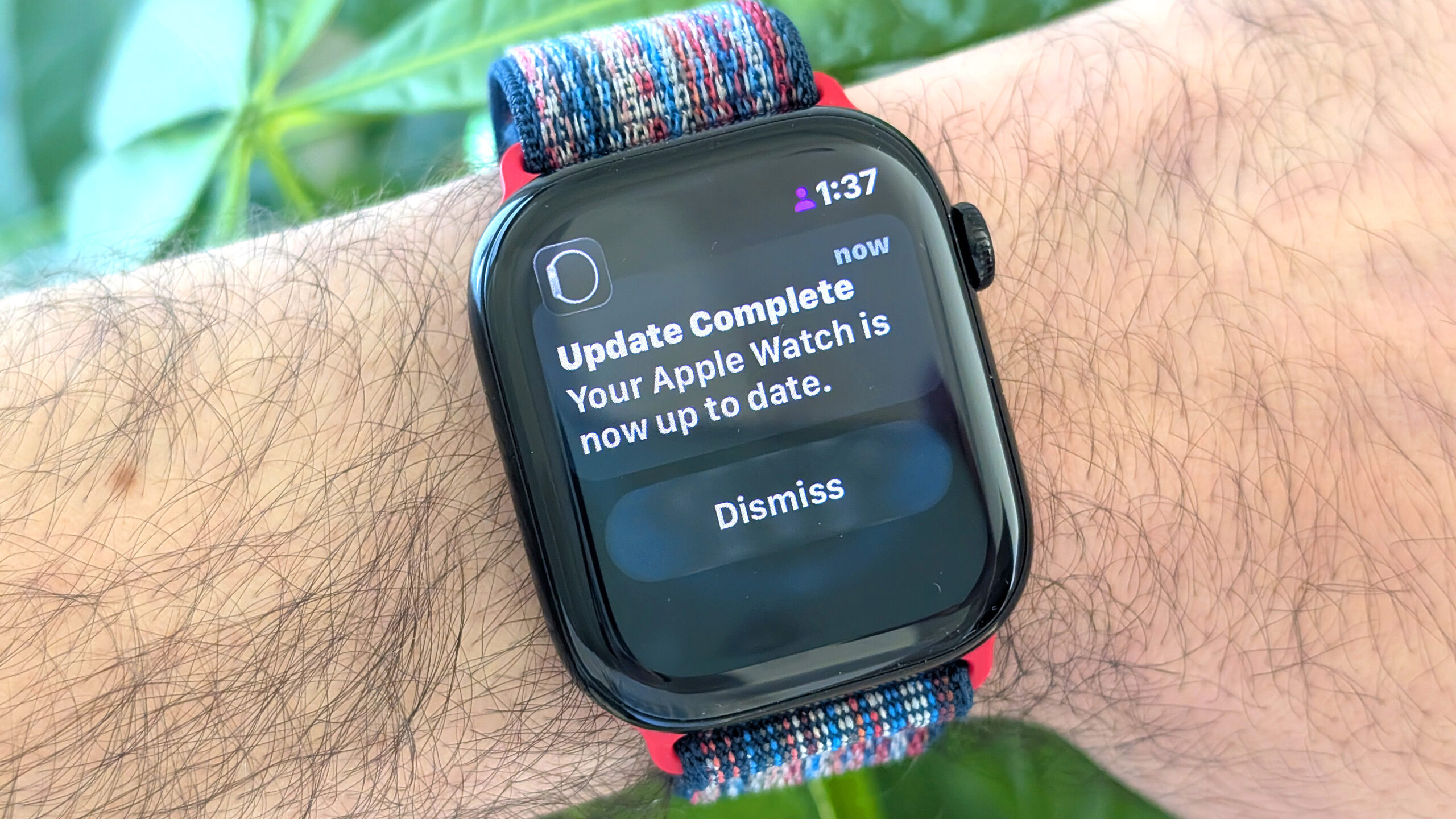 Comment télécharger WatchOS 26 – Votre guide pour installer le dernier logiciel Apple Watch image-31681