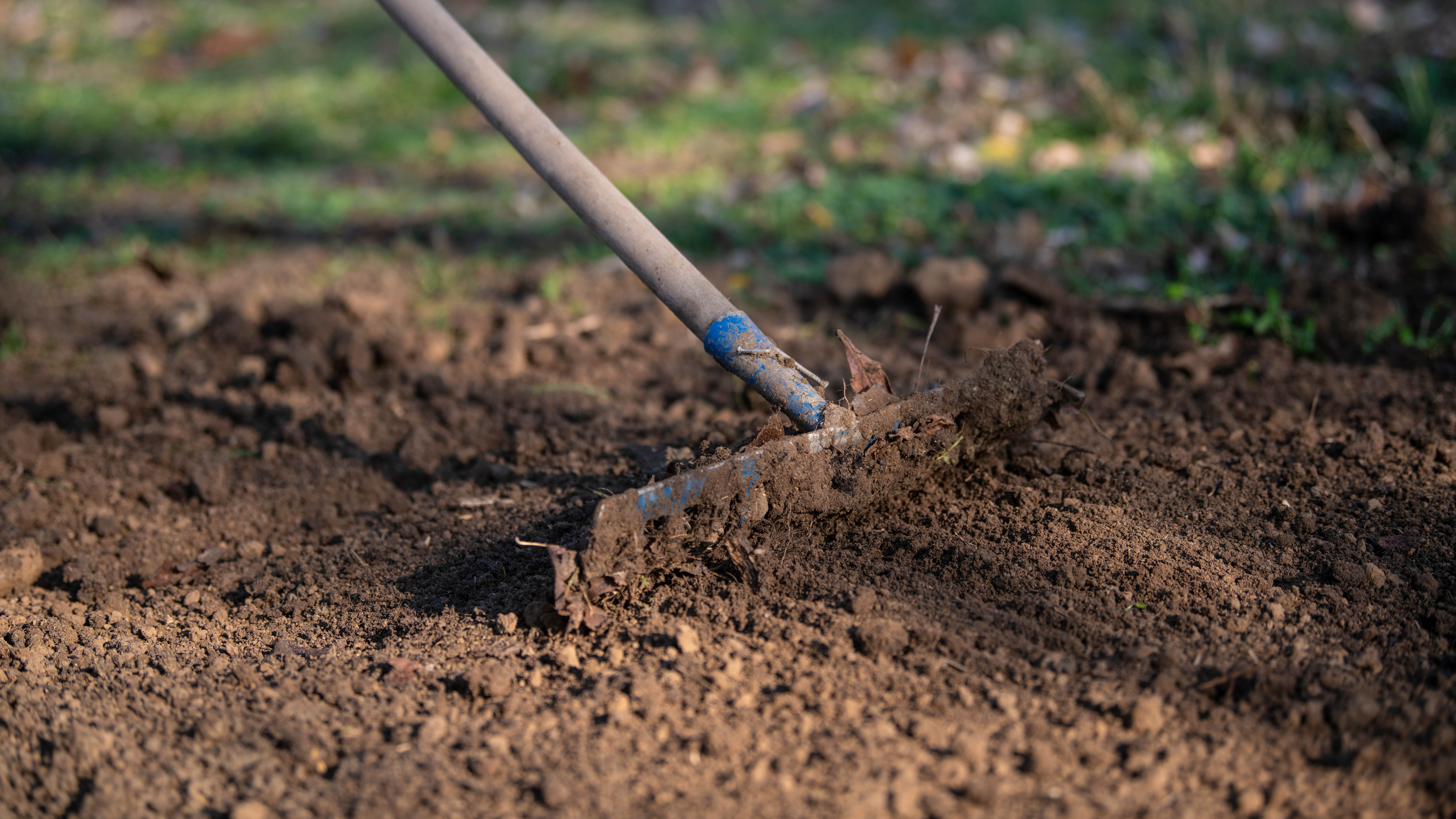 Le sol étant labouré par un râteau