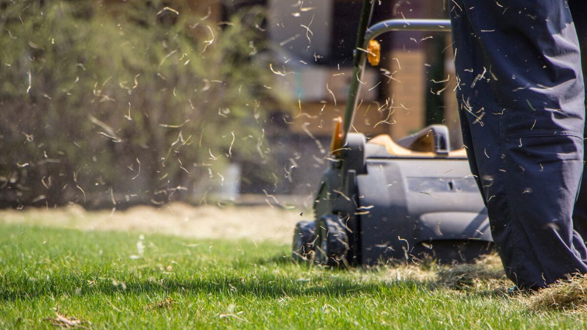 Les propriétaires sont invités à effectuer cette tâche d'entretien de la pelouse ce week-end – les experts préviennent que c'est votre « dernière opportunité réaliste » image-32315