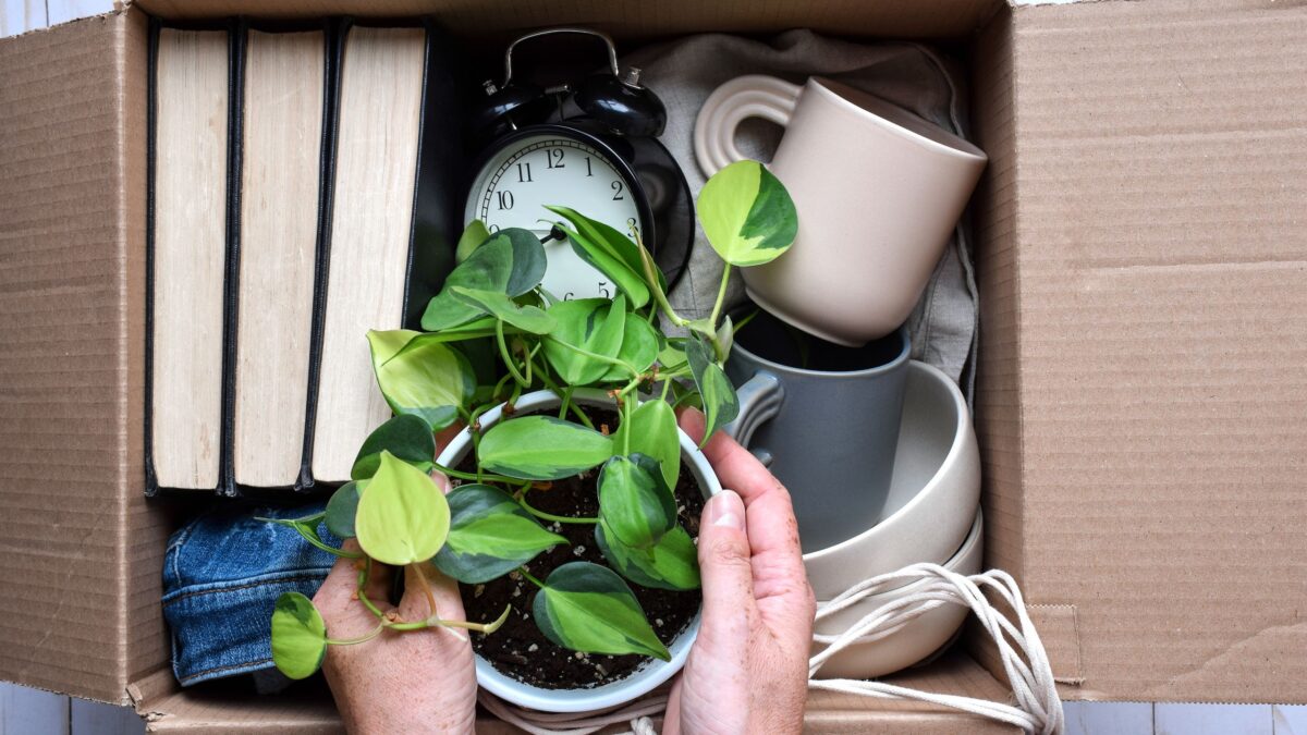 Qu’est-ce que Danshari ? Voici comment cette méthode de désencombrement japonaise peut totalement transformer votre maison image-32417