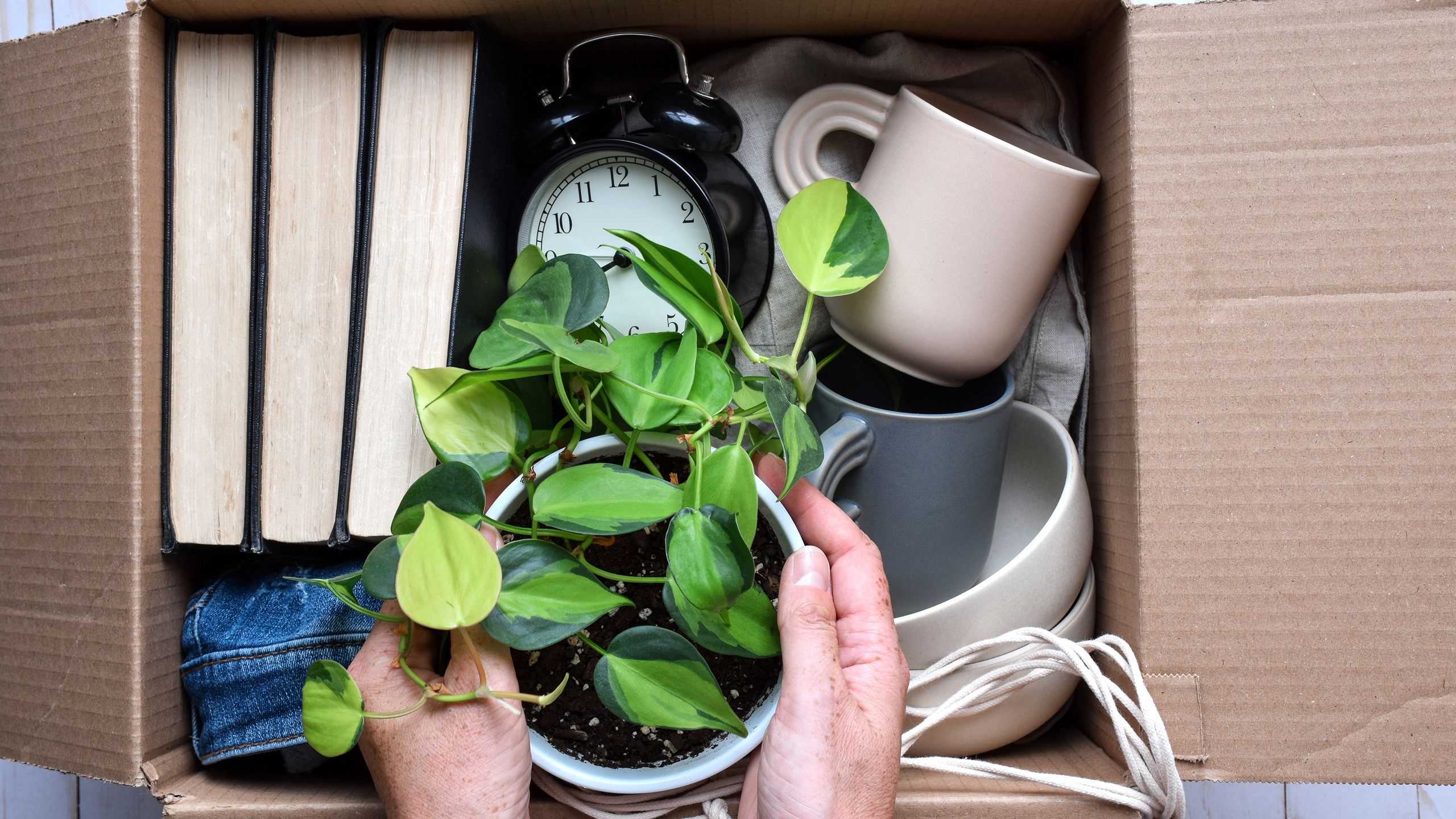 Qu’est-ce que Danshari ? Voici comment cette méthode de désencombrement japonaise peut totalement transformer votre maison image-32417