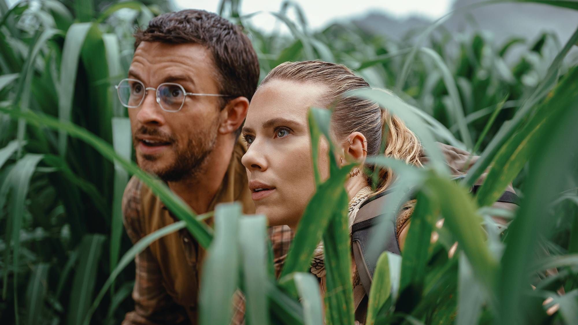 7 meilleurs nouveaux films à diffuser ce week-end sur Prime Video, Netflix, Peacock et plus (1er et 2 novembre) image-32832