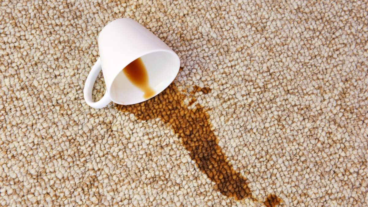 Votre tapis n'est pas abîmé après un déversement de café : voici 5 façons de le conserver image-33255