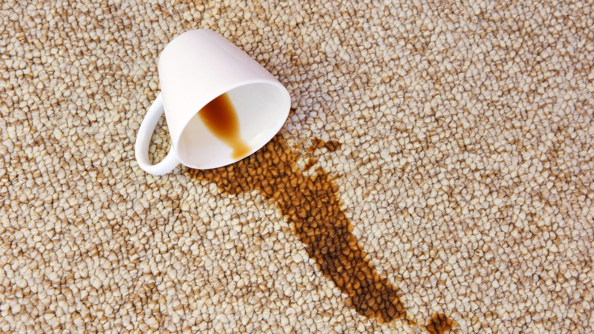 Votre tapis n'est pas abîmé après un déversement de café : voici 5 façons de le conserver image-33255
