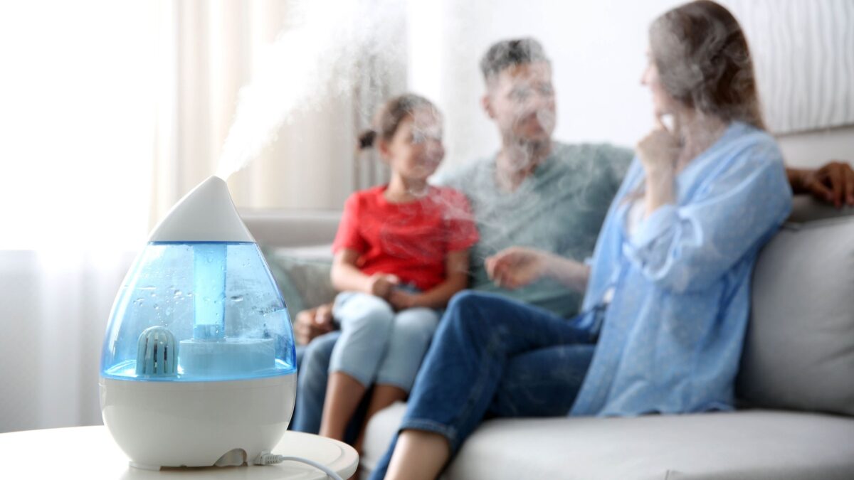 Votre humidificateur peut-il être le secret pour vaincre le froid hivernal ? J'ai demandé aux experts image-33285