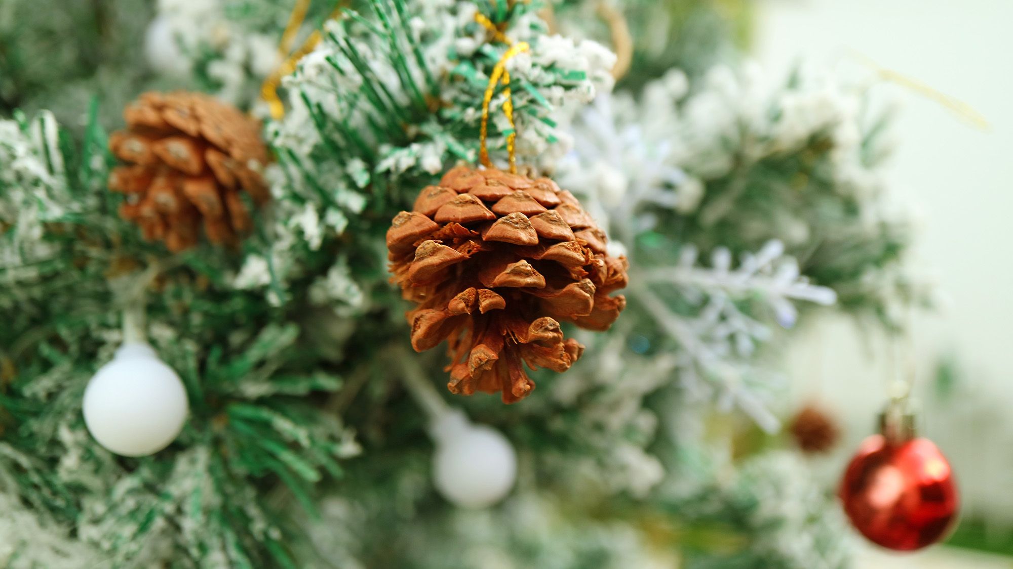 Le sapin de Noël se dessèche ? Voici 3 façons de le garder arrosé image-33781