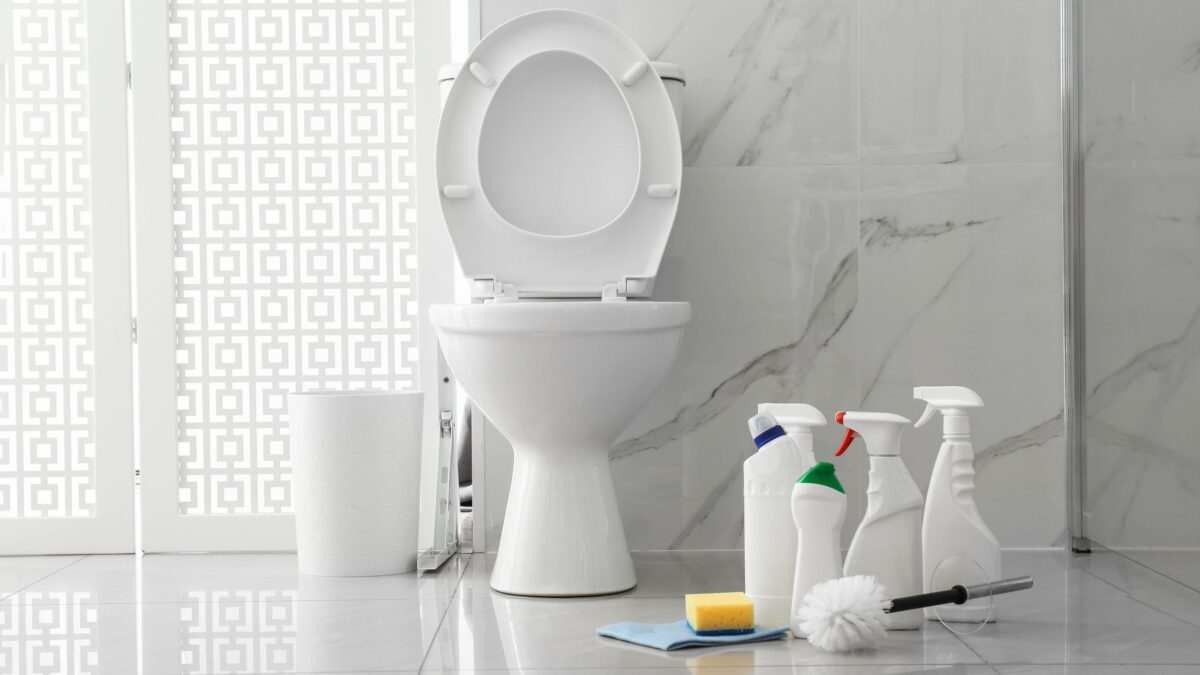 Cet endroit commun que vous oubliez de nettoyer sur vos toilettes est sale – et ce n'est pas ce que vous pensez image-33783